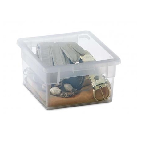 Caja organizadora multiusos light box transparente 2,5 litros