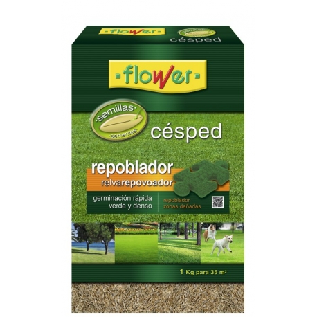 Semillas cesped repoblador flower1 kg