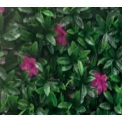 Jardin vertical malva 50x50 cm