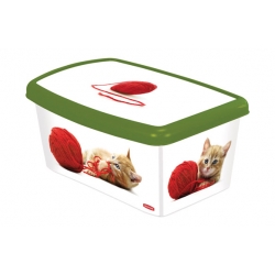 Caja accesorios gatos