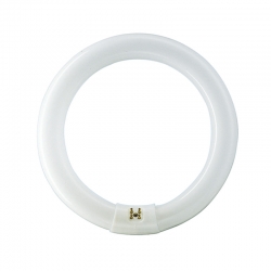 Fluorescente circular philips tl-e 865 32w