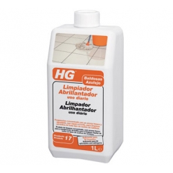 Limpia tapicerías automóvil profesional 500ml HG - Ferretería On Line