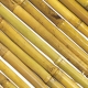 Cañizo bambu natural nortene bambooflex 1x3m beige