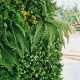 Jardin vertial catral sauvage 100x100cm verde