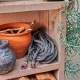 Manguera jardin gardena textil liano + accesorio 13mm 15m