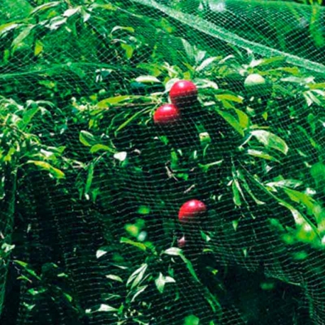 Malla anti-pajaro natuur 4x12m verde