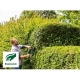 Cortasetos electrico bosch easyhedgecut 70 + revestimiento cuchilla