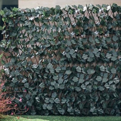 Celosia extensible novagarden mimbre 1x1,5m hiedra