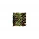CELOSIA EXTENSIBLE MIMBRE 1 X 2 M