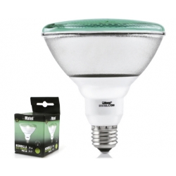 BOMBILLA VERDE LED PAR 38 IP65 E27 