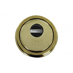 Escudo alta seguridad tesa e900 laton pulido dorado
