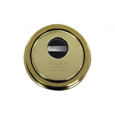 Escudo alta seguridad tesa e900 laton pulido dorado