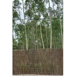 Brezo natural import premium 2,5kg/m² 1x5m