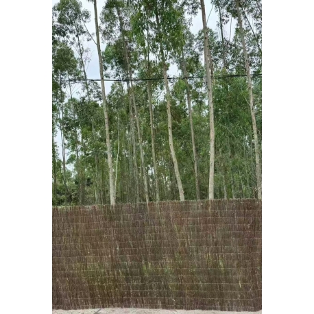 Brezo natural import premium 2,5kg/m² 1x5m