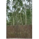 Brezo natural import premium 2,5kg/m? 1,5x5m