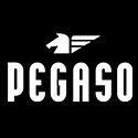 Pegaso